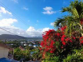 Bougainvillea House